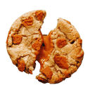 PAGING DR. BISCOFF®